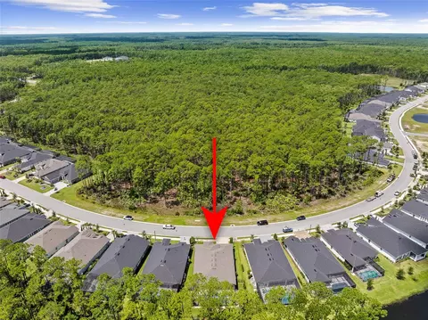 View/Area - 463 Stirling Bridge Dr, Ormond Beach, FL 32174 photo 7 of 11