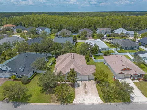 View/Area - 50 Herringbone Way, Ormond Beach, FL 32174 photo 3 of 4