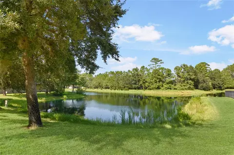 View/Area - 151 Osprey Marsh Ln, Saint Augustine, FL 32086 photo 1 of 1