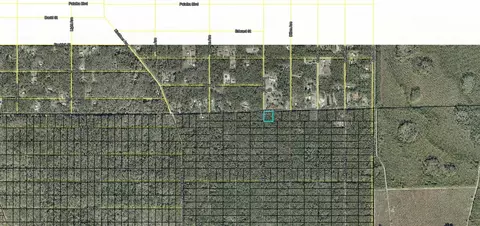 Nnn Division Street, Hastings, FL 32145