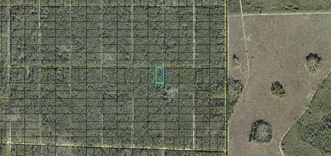Nnn Donna Street, Hastings, FL 32145