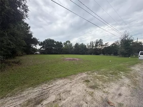 517 Orange St, Welaka, FL 32193