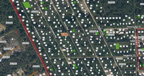 203 Heron Rd, Satsuma, FL 32189 photo 2