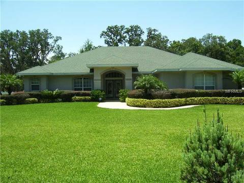 33543 Wesley Rd, Eustis, FL 32736 photo 1