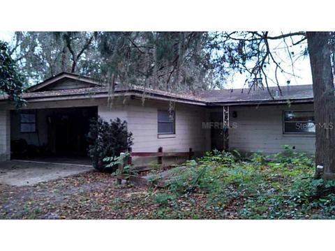 17301 Opal Ln, Mount Dora, FL 32757 photo 1