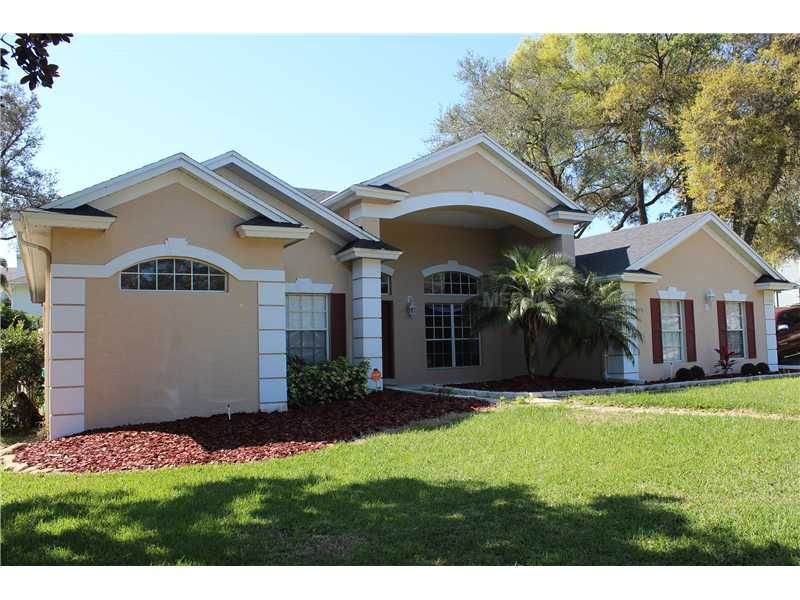 1102 Wineberry Ct, Ocoee, FL 34761 photo 1