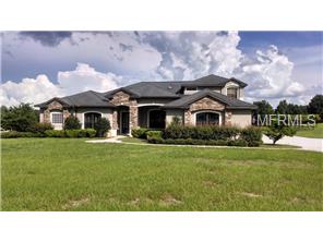 10550 Arrowtree Blvd, Clermont, FL 34715 photo 1