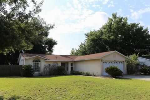 606 Dorothy Cir, Eustis, FL 32726 photo 1