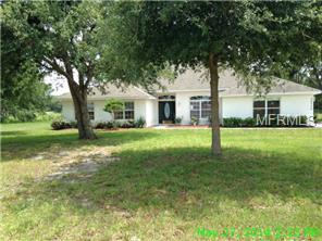 24336 Bear Den Dr, Eustis, FL 32736 photo 1
