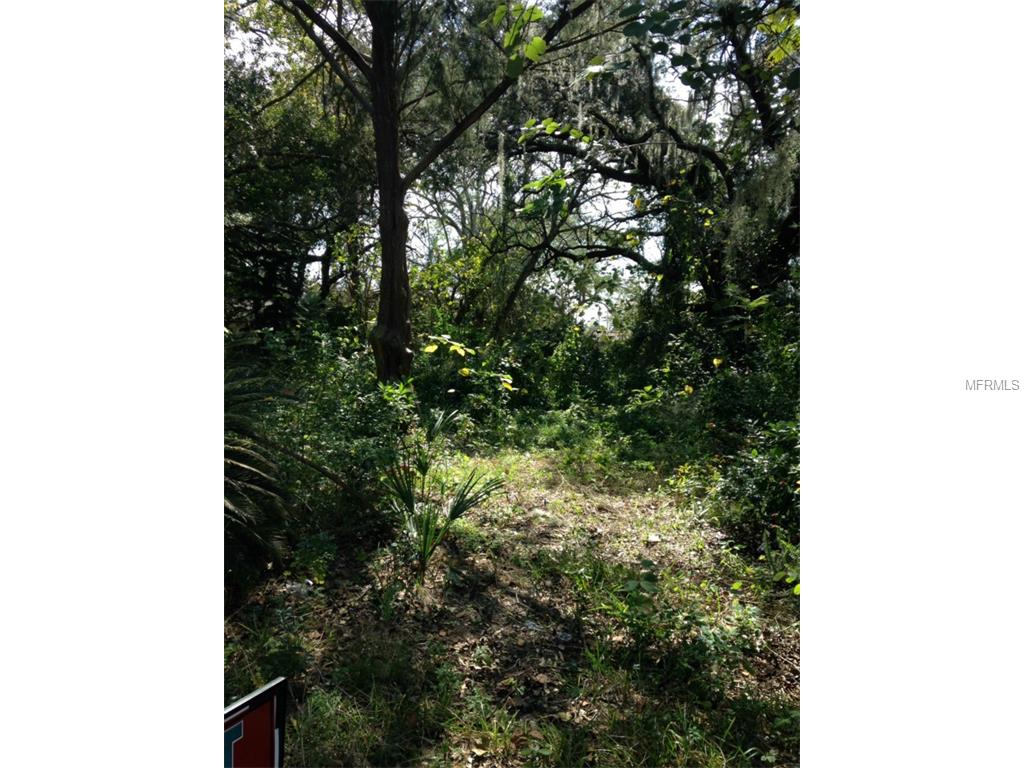 108 E Quayle Ave, Eustis, FL 32726 photo 1