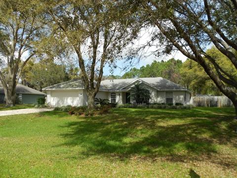 2748 Bayview Dr, Eustis, FL 32726 photo 1
