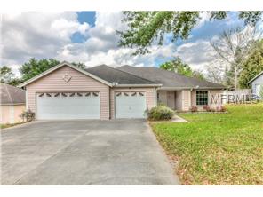1741 Cobble Ln, Mount Dora, FL 32757 photo 1