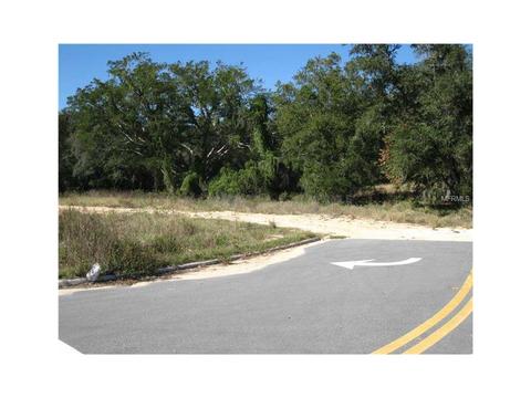 13119 Hook St, Clermont, FL 34711