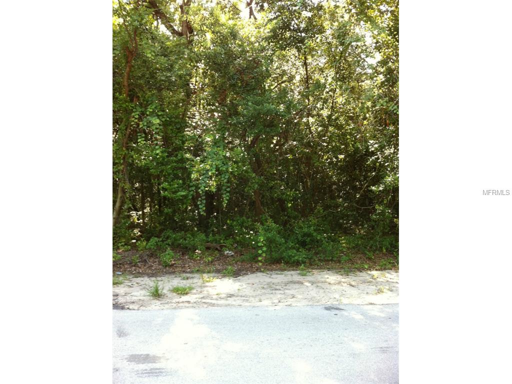 6155 Terrell Rd, Mount Dora, FL 32757 photo 1