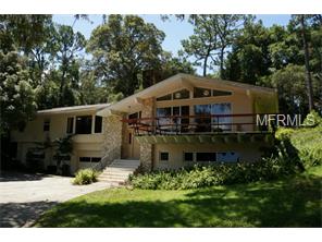 313 Pond Rd, Mount Dora, FL 32757 photo 1