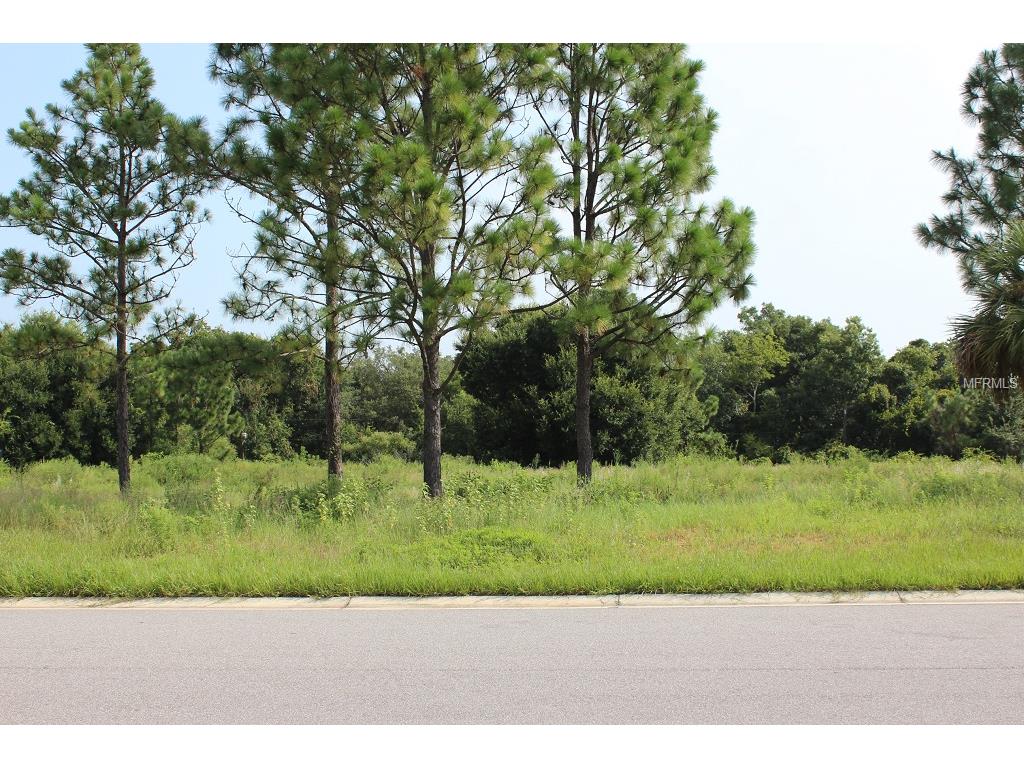 16632 Caravaggio Loop, Montverde, FL 34756 photo 1
