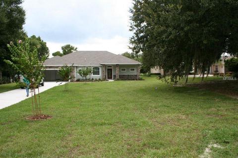 166 Boardman Dr, Umatilla, FL 32784 photo 1