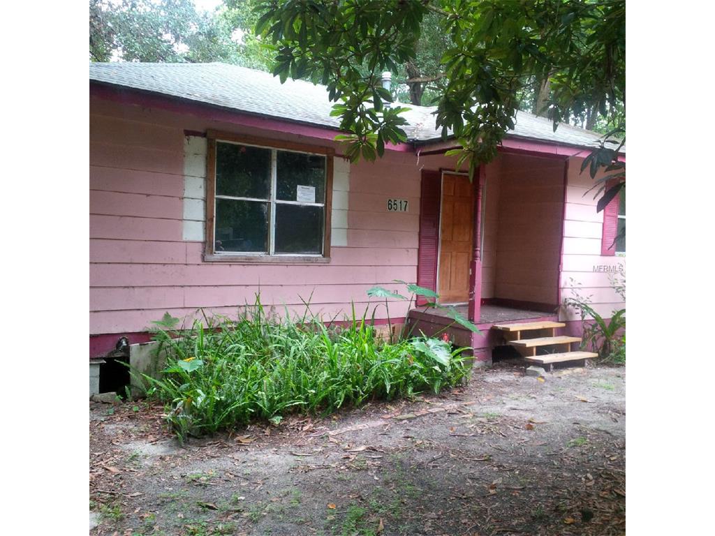 6517 Terrell Rd, Mount Dora, FL 32757 photo 1