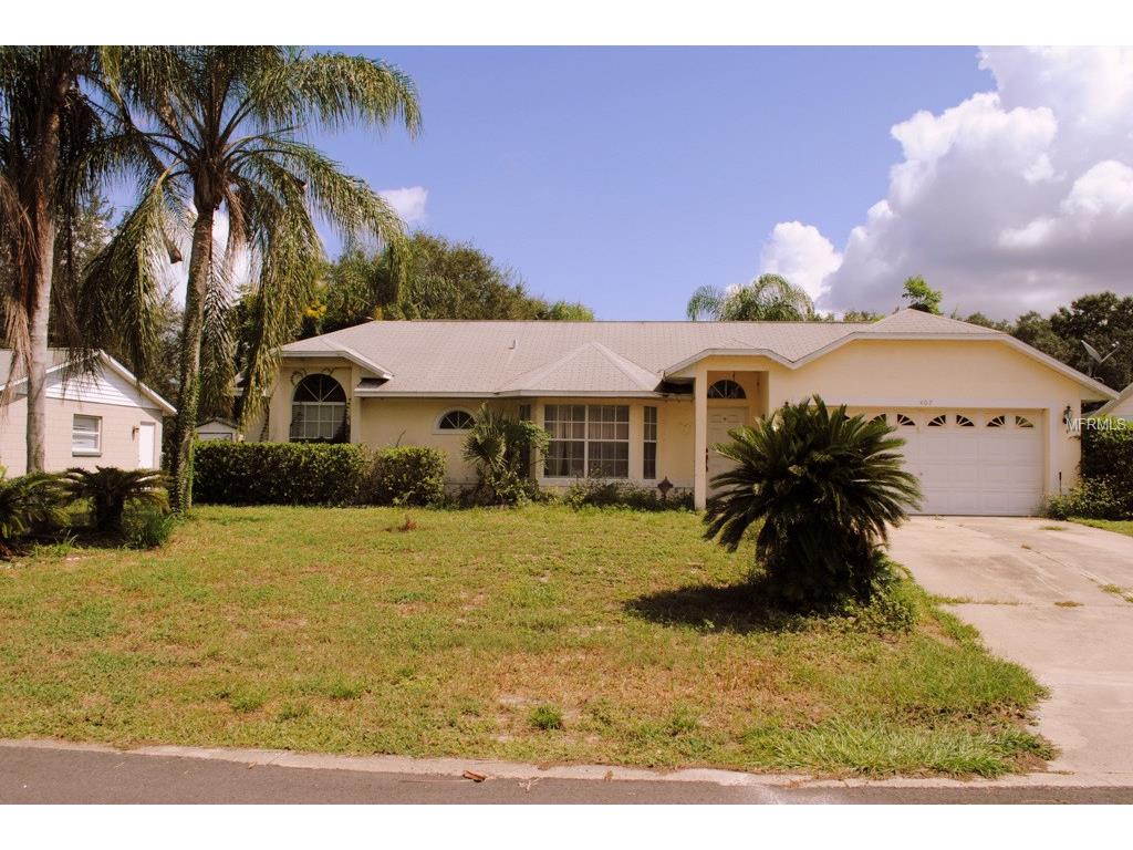 407 Dorothy Cir, Eustis, FL 32726 photo 1