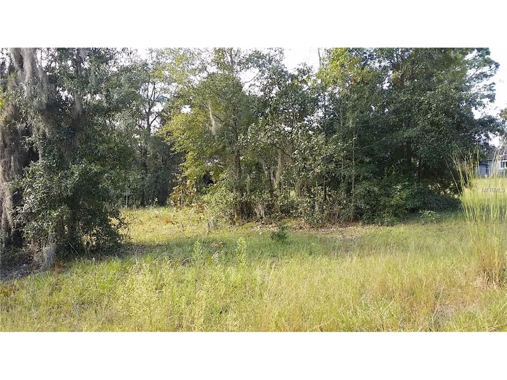 105 Pine Ln, Interlachen, FL 32148 photo 1