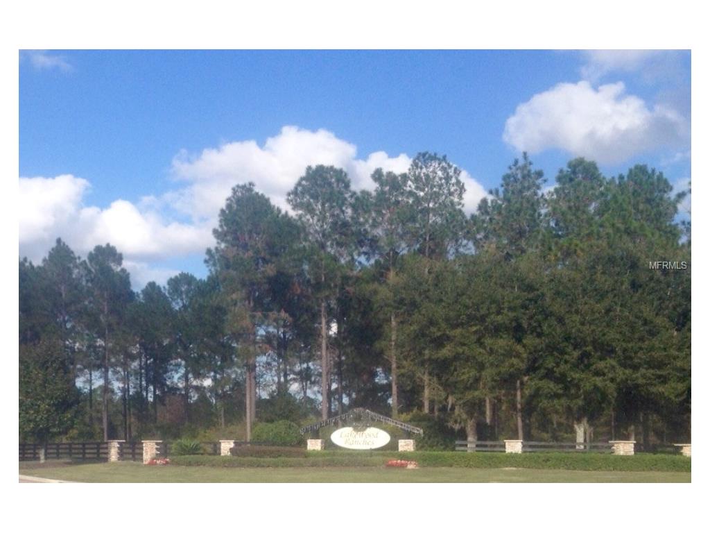 35718 High Pines Dr, Eustis, FL 32736 photo 1