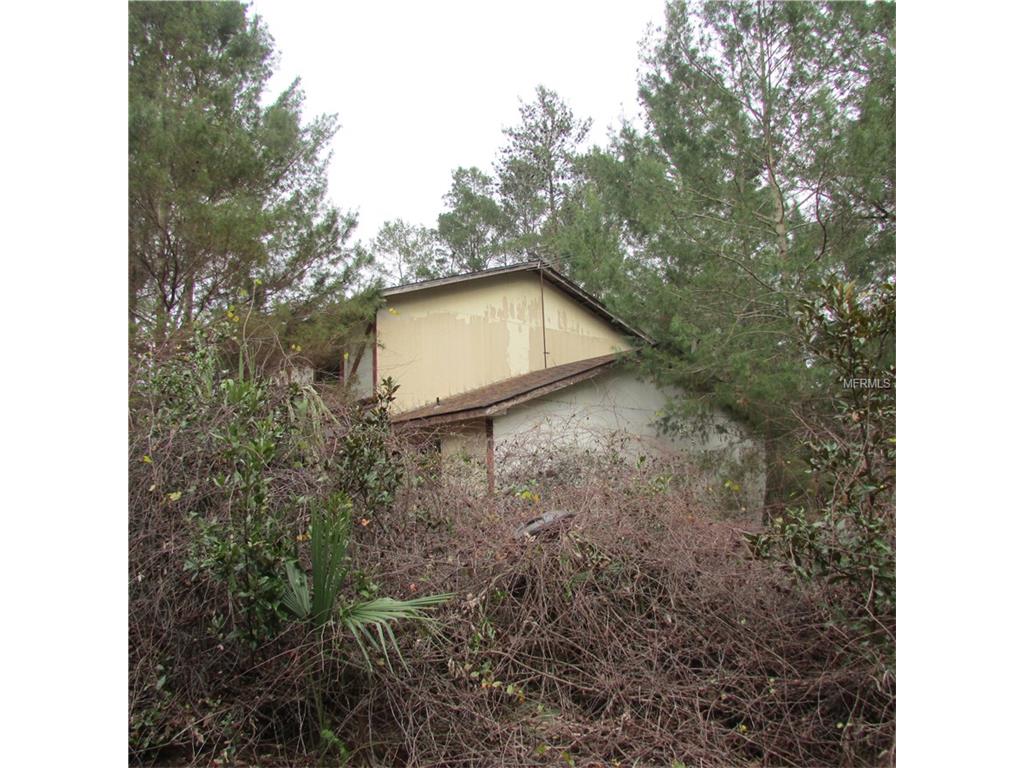 38104 Ilex Trl, Eustis, FL 32736 photo 1