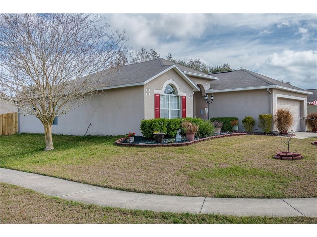 1043 Vanderbilt Dr, Eustis, FL 32726 photo 1
