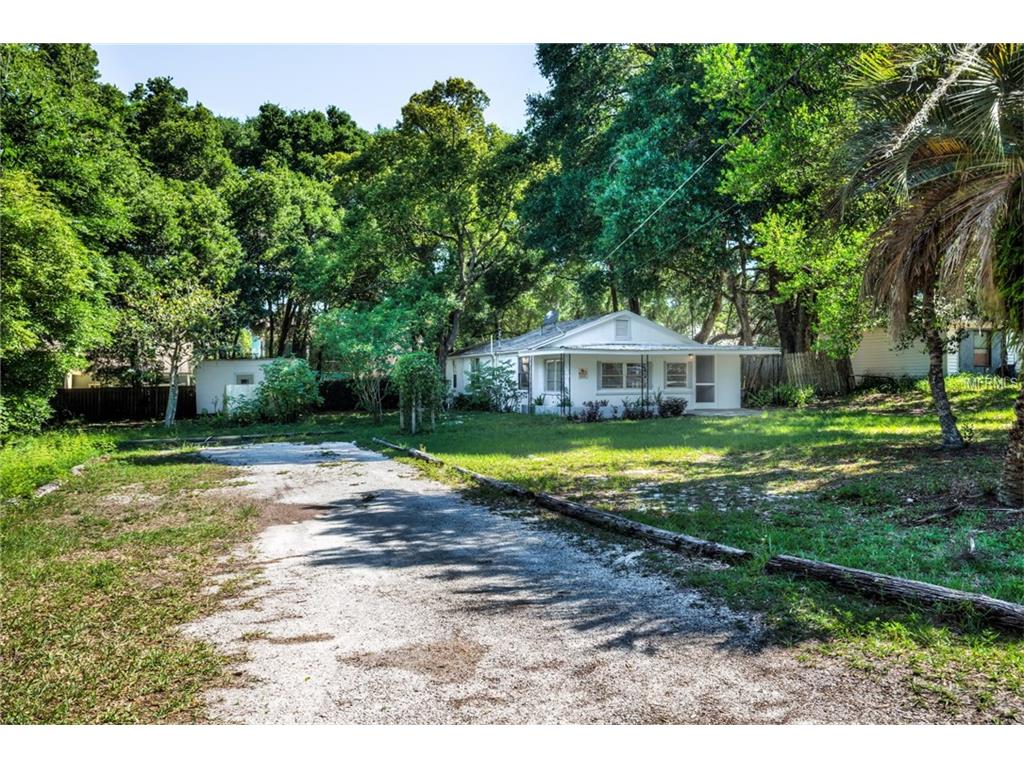 209 Pine Ave, Mount Dora, FL 32757 photo 1