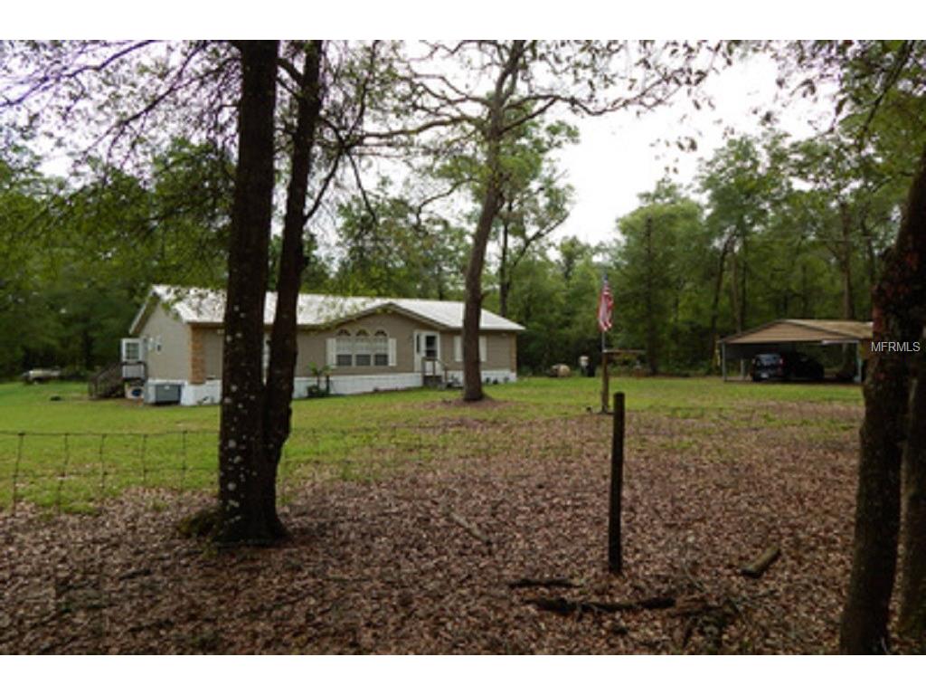 11415 50th Dr, Webster, FL 33597 photo 1