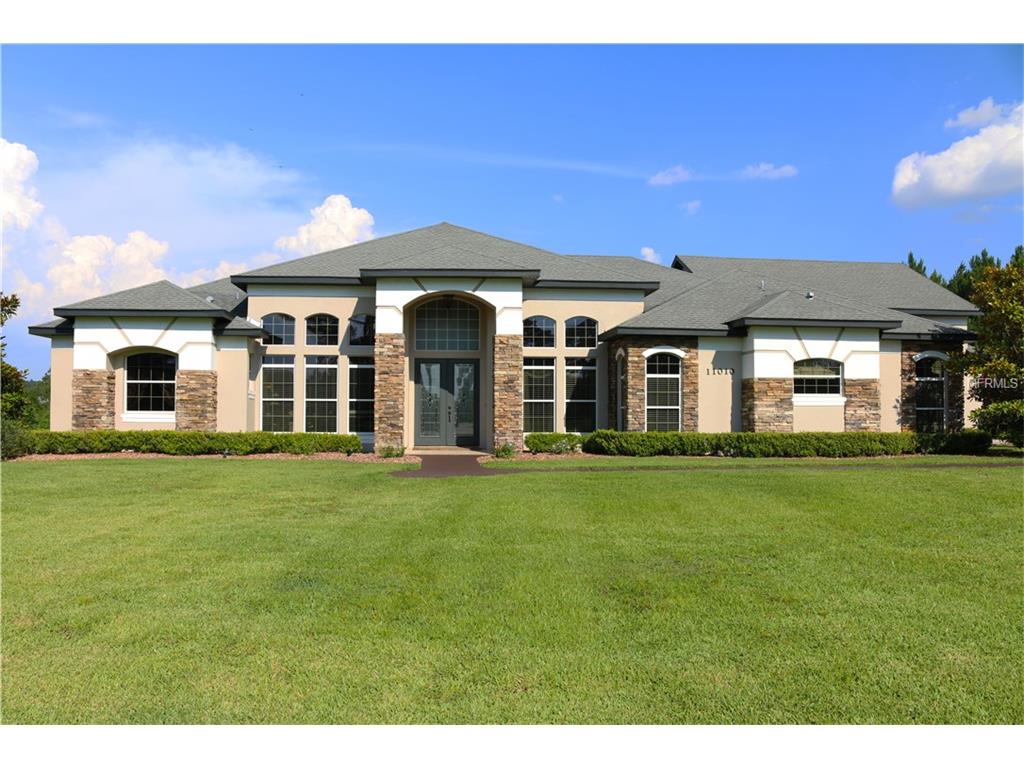 11010 Arrowtree Blvd, Clermont, FL 34715 photo 1