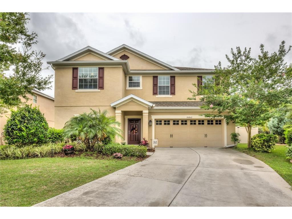 20842 Oldenburg Loop, Mount Dora, FL 32757 photo 1