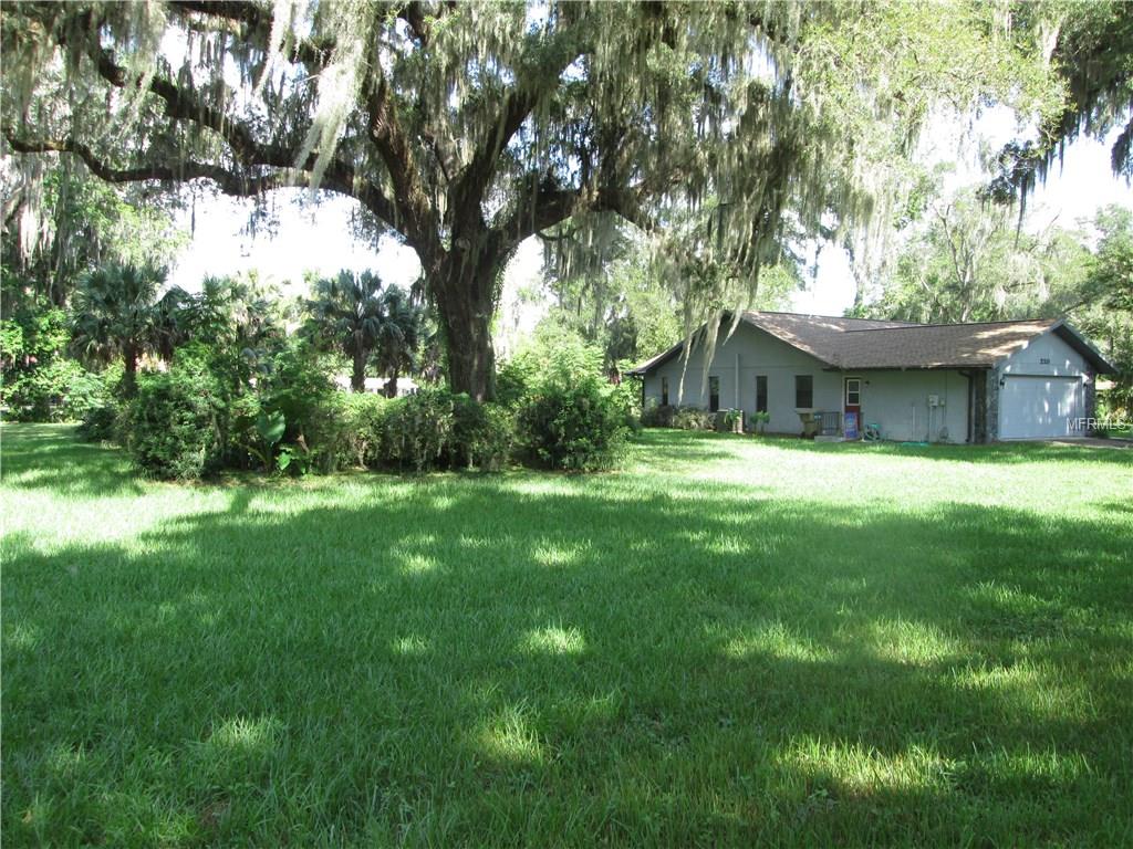 220 1st St, Webster, FL 33597 photo 1