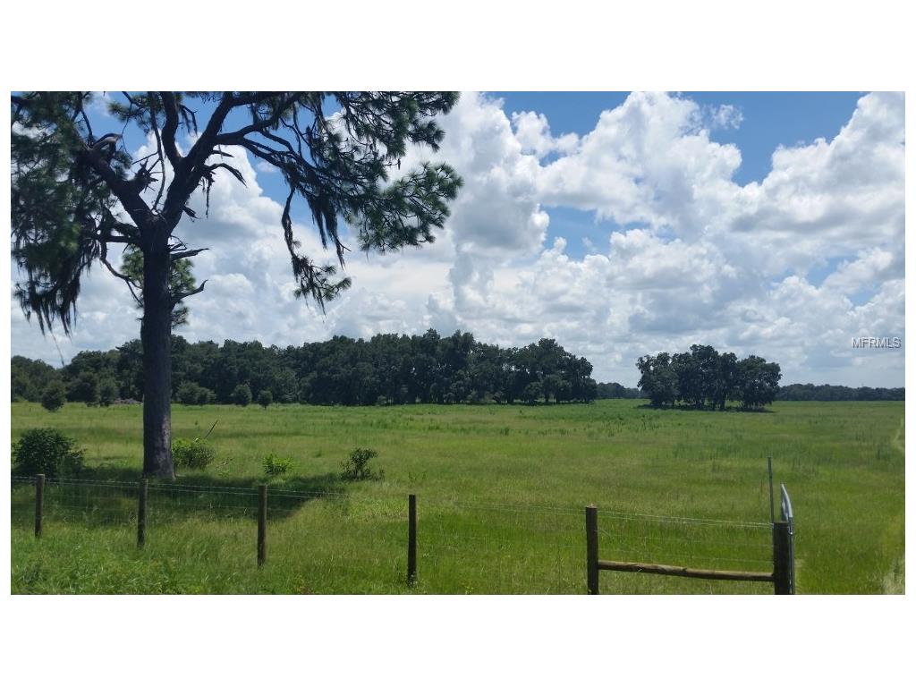 5357 Cr 746, Webster, FL 33597 photo 1