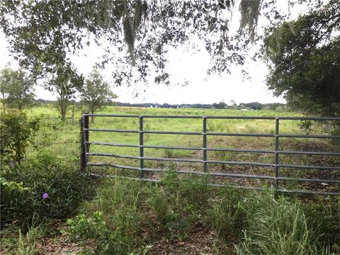 11551 Cr 721, Webster, FL 33597 photo 1