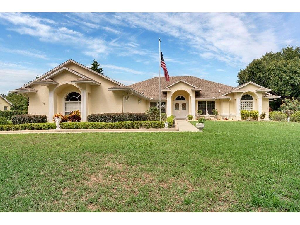 10936 Haskell Dr, Clermont, FL 34711 photo 1