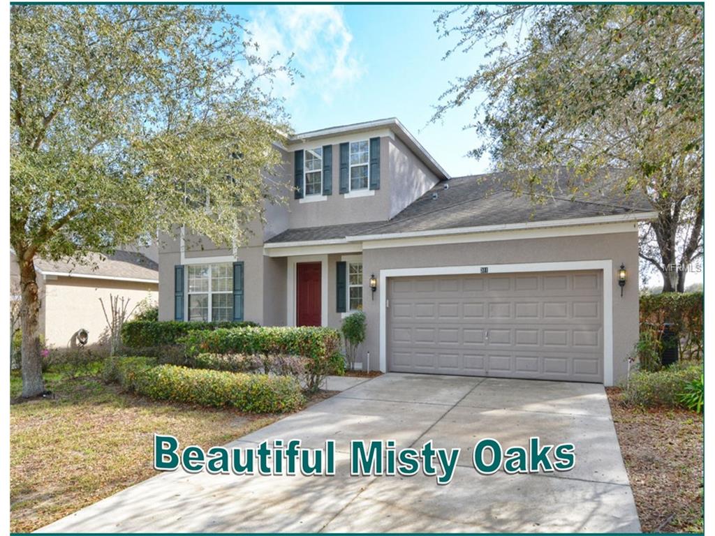 381 Misty Oaks Ln, Eustis, FL 32736 photo 1