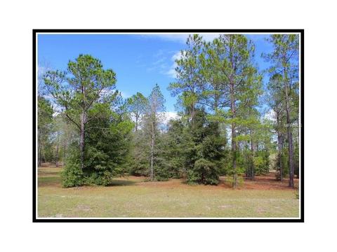 35651 High Pines Dr, Eustis, FL 32736 photo 1