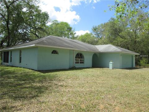 5272 Cr 683d1, Webster, FL 33597 photo 1