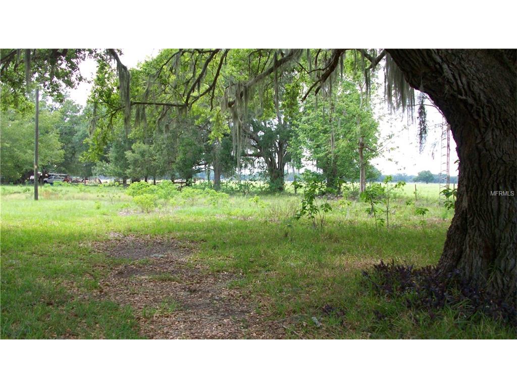 8254 Sr 471, Webster, FL 33597 photo 1