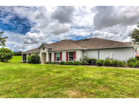 21605 Belgian Ct, Mount Dora, FL 32757 photo 1