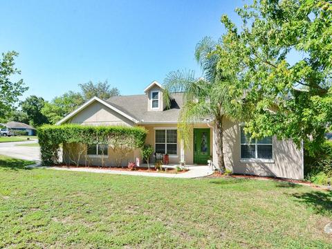 302 Morningview Dr, Eustis, FL 32726 photo 1
