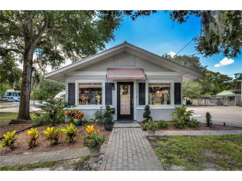 140 E 7th Ave, Mount Dora, FL 32757 photo 1