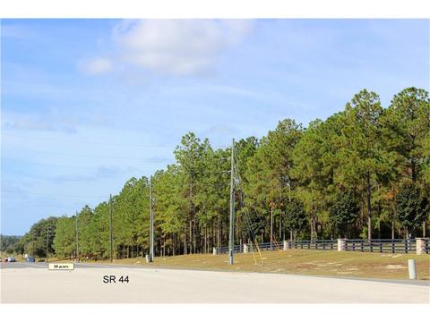 35601 Green Forest Dr, Eustis, FL 32736 photo 1