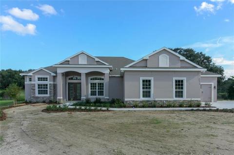36819 Wolf Ct, Eustis, FL 32736 photo 1
