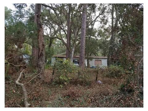4655 110th Pl, Webster, FL 33597 photo 1