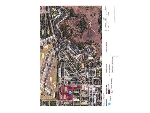 Niles Street, Mount Plymouth, FL 32776