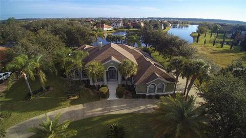 2017 Castelli Blvd, Mount Dora, FL 32757 photo 1