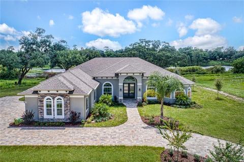 424 Two Lakes Ln, Eustis, FL 32726 photo 1
