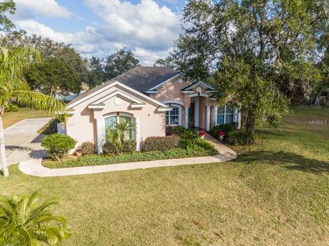 2917 Rustwood Ln, Eustis, FL 32726 photo 1