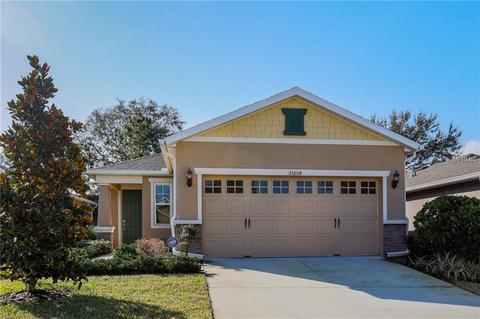 21804 Belgian Ct, Mount Dora, FL 32757 photo 1